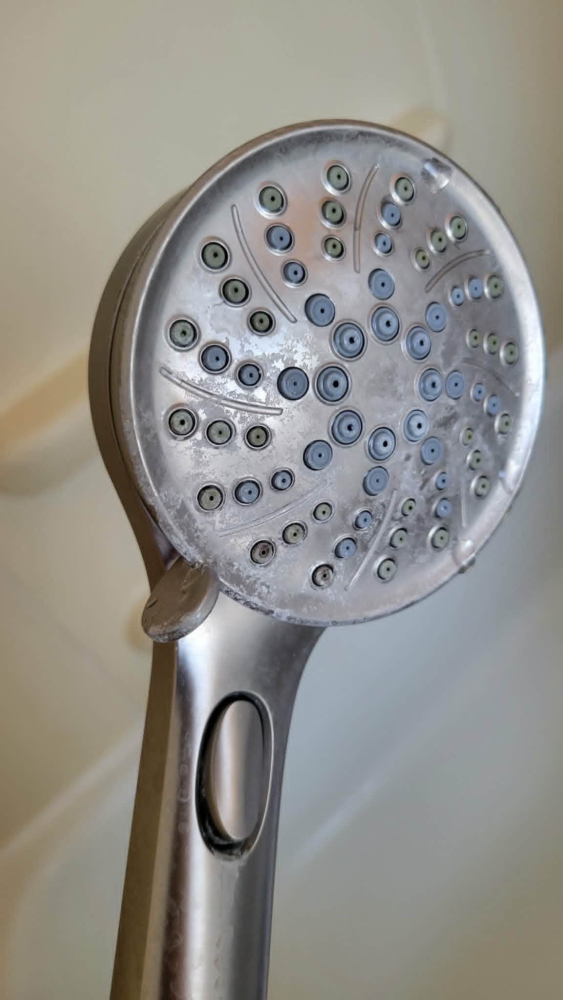 Shower head before cleaning